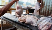 De 79 a 110 pesos: La cronología del precio del pollo en 2025 – Remolacha