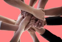 Día Internacional de la Solidaridad Humana – Remolacha