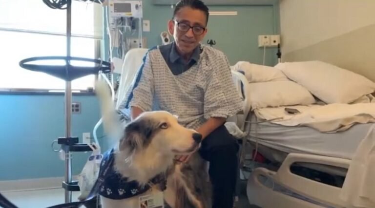 Terapia emocional con perros para pacientes de cancer