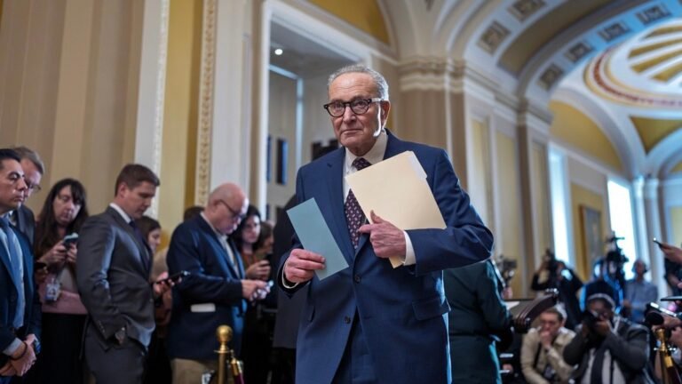 Los demócratas podrían provocar el cierre del gobierno