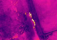 Ejército localiza con drones grupo de haitianos en Dajabón (video) – Remolacha