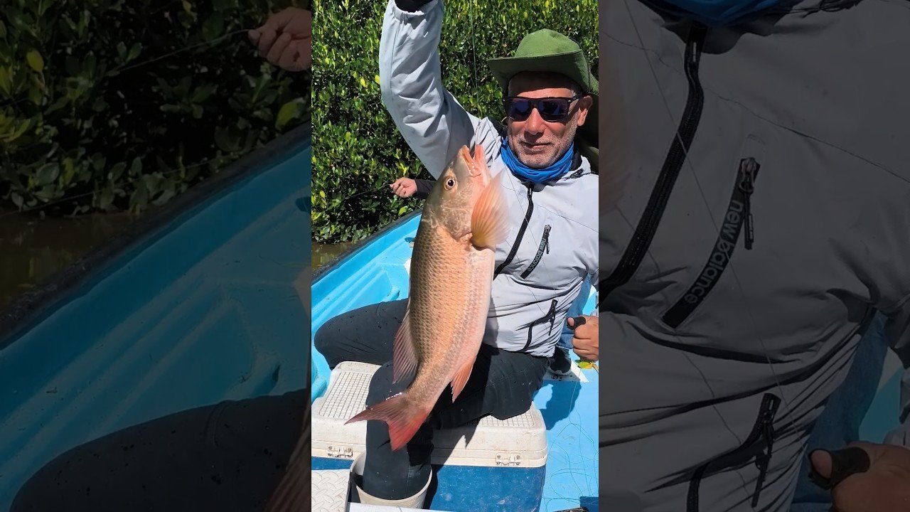 Exelente Pargo Rojo del Compa Abel Martinez con piola en Mano .#losmochis #sinaloa #culiacan #viral