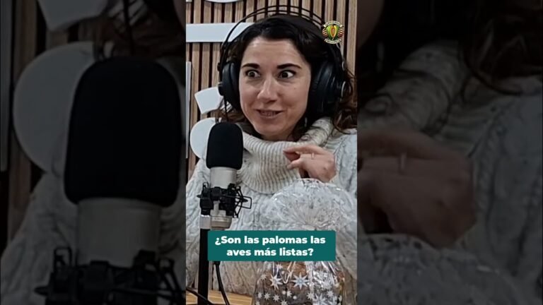 La Increíble Inteligencia de las Palomas y Córvidos #shorts