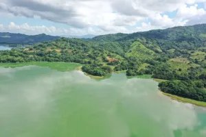 Comisión prepara informe sobre la Presa de Hatillo – Remolacha