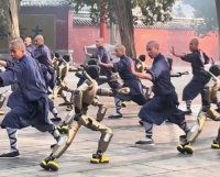 Robots se unen a monjes en una clase de kung-fu (video) – Remolacha