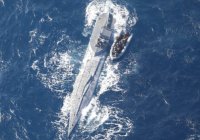 EE.UU. y Colombia interceptan narcosubmarino con 10 toneladas de cocaína – Remolacha