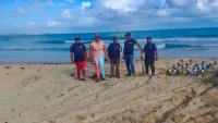 Rescatan playa Macao en jornada de limpieza – Remolacha
