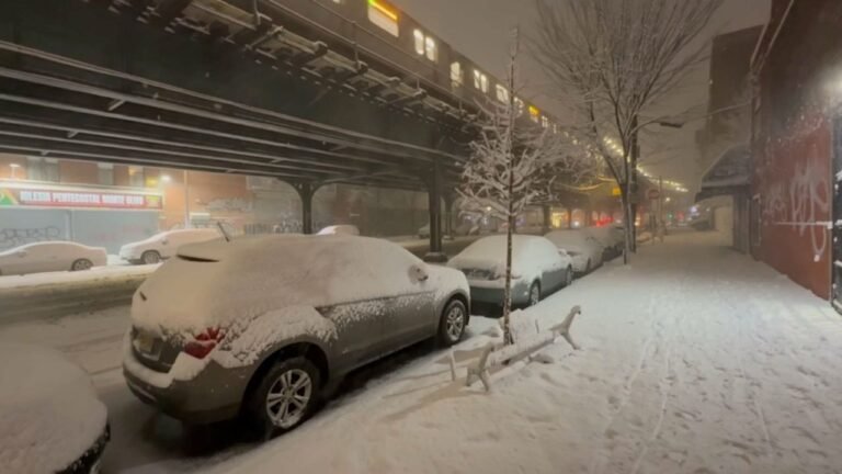 Se reportan nevadas de hasta dos dígitos en partes de NY