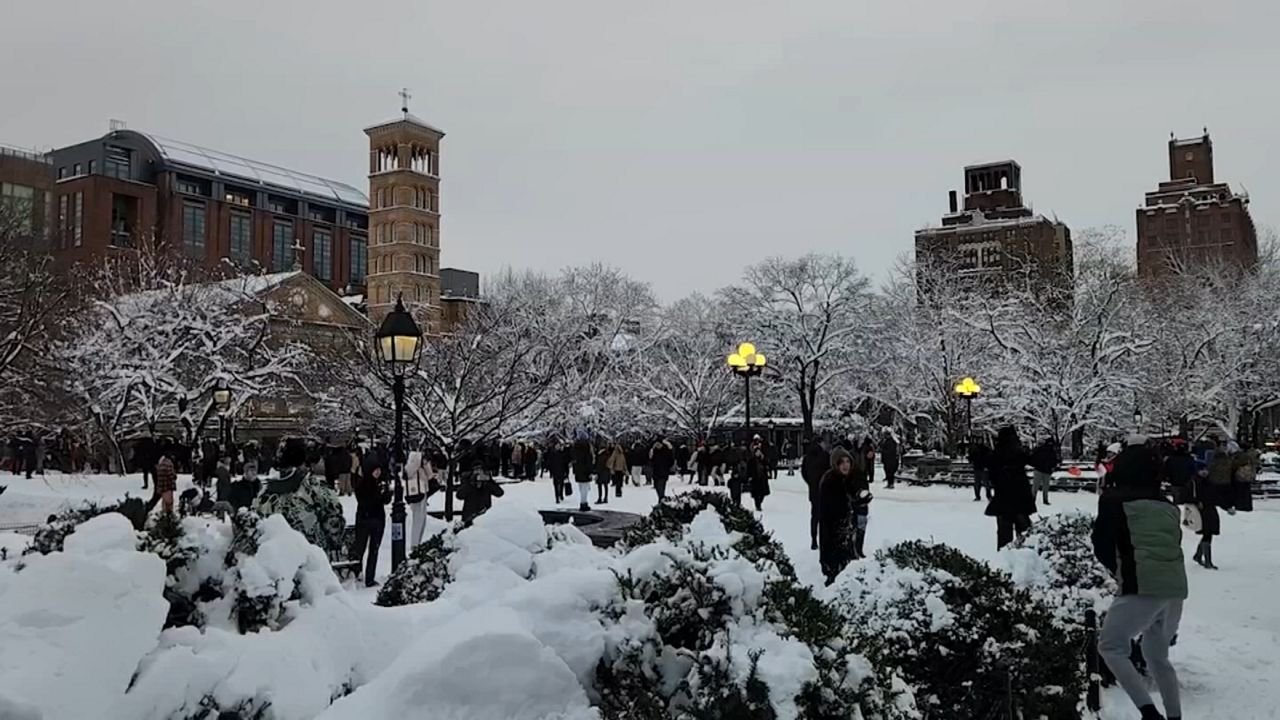 Arrestan a un hombre por pelea de bolas de nieve