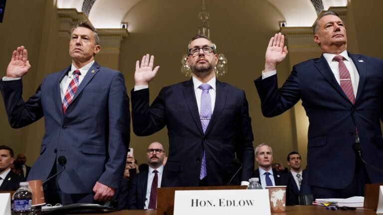 Director ICE defiende ante Congreso acciones de sus agentes