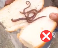 Más sobre el caso viral en Jarabacoa del tipo que dio pan con lombrices a un indigente – Remolacha