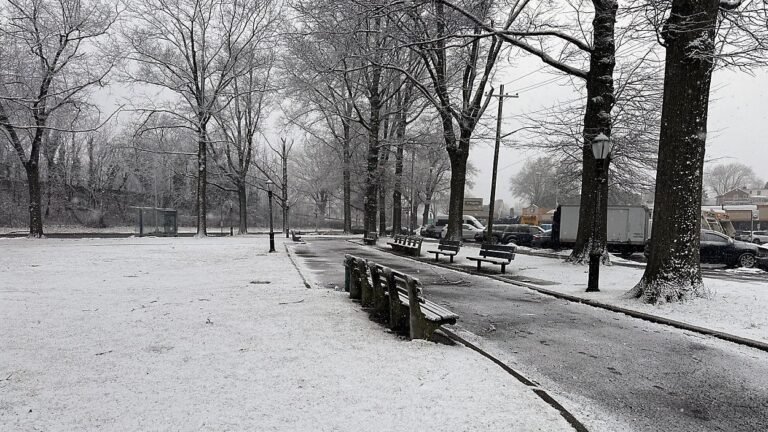 Advertencias de ventisca debido a intensa tormenta invernal