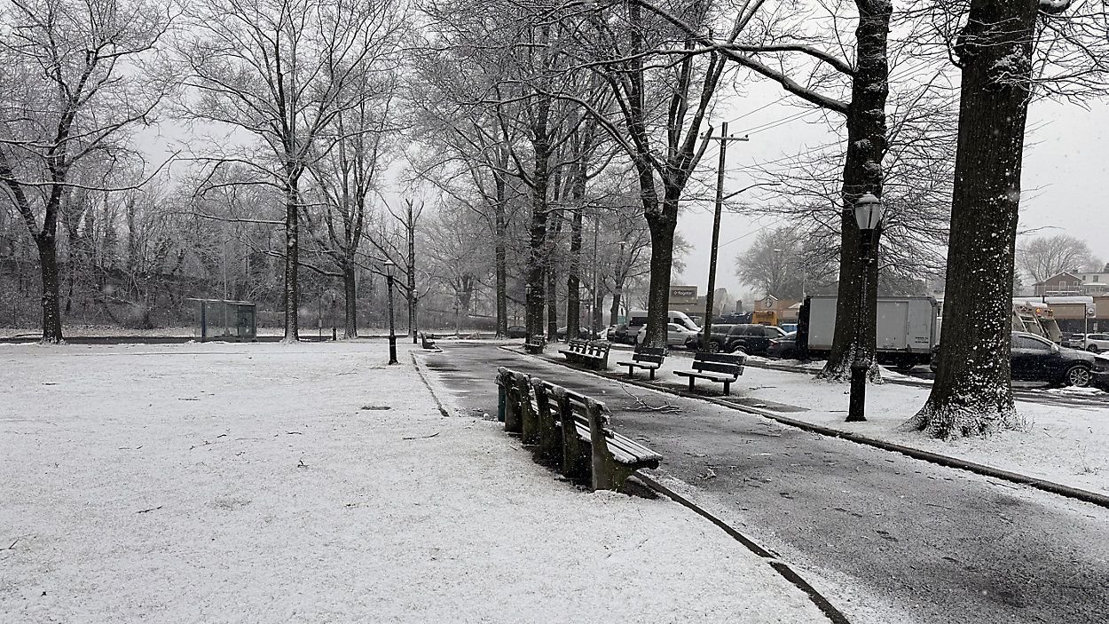 Advertencias de ventisca debido a intensa tormenta invernal