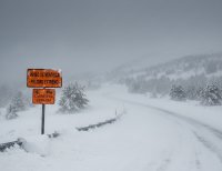 ¿Qué significa un aviso de ventisca? – Remolacha