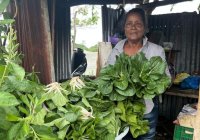 “Le he enseñado a mis hijos a sentirse orgullosos de trabajar en el campo” – Remolacha