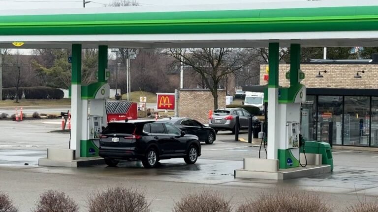 Inestabilidad en los precios del petróleo.