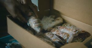 Vuelve la veda de langostas y cangrejos (video) – Remolacha