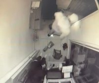 Videos de los policías y civiles robando dinero en San Cristóbal – Remolacha