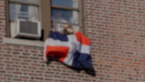 La diáspora dominicana: la nación que también se construye desde el extranjero – Remolacha