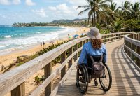 Día Internacional de la Silla de Ruedas – Remolacha